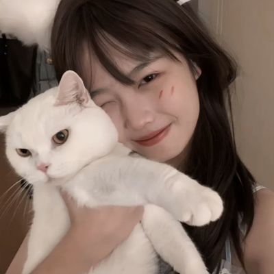 碎片剑术学院手机版