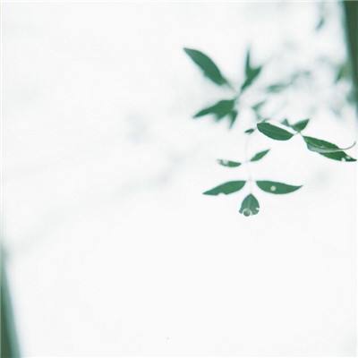 趣机网破解手机版下载